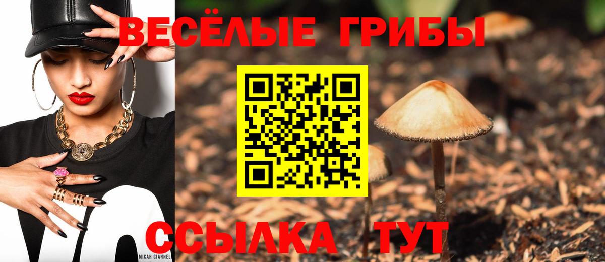 Галлюциногенные грибы Magic Shrooms Костомукша